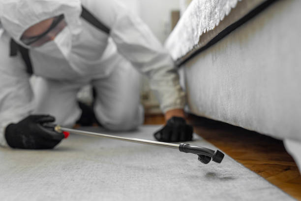 Professional Termite Control technician working in Edgar, WI