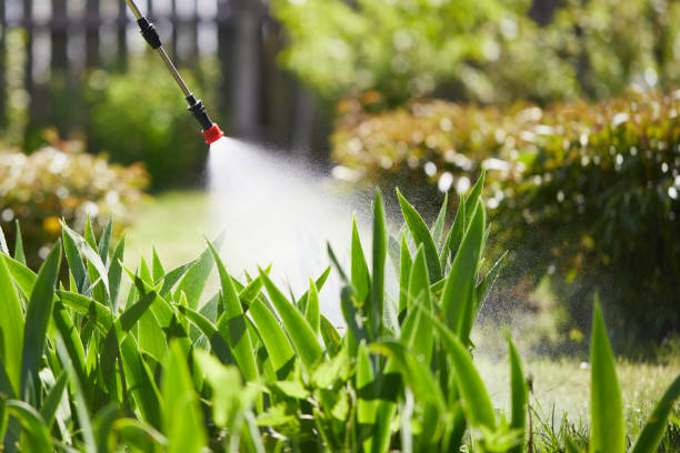24/7 Emergency Termite Control experts in Edgar, WI